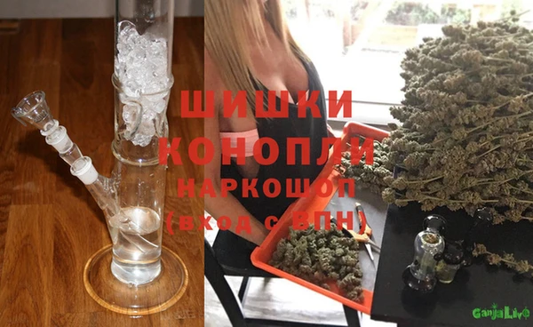трава Беломорск