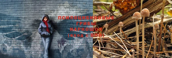 трава Беломорск