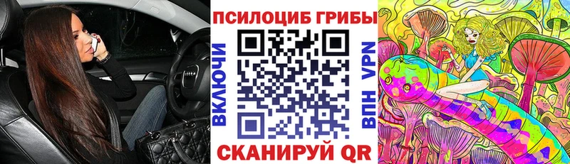 MEGA маркетплейс  Верхний Уфалей  Псилоцибиновые грибы прущие грибы 